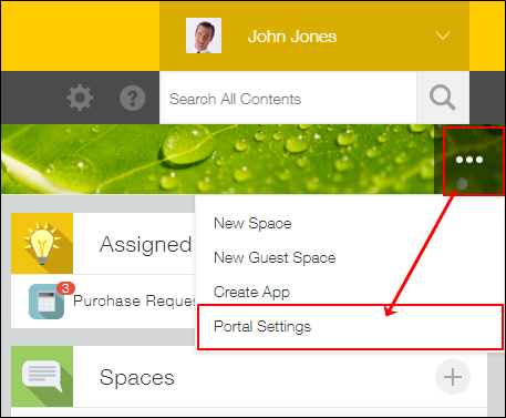 Screenshot: The "Options" icon at the upper right of a portal and the "Portal settings" option are highlighted