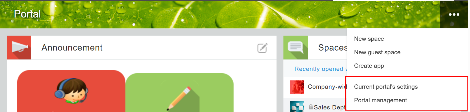 Screenshot: The "Portal management" and "Current portal's settings" options that appear after the "Options" icon is clicked are highlighted